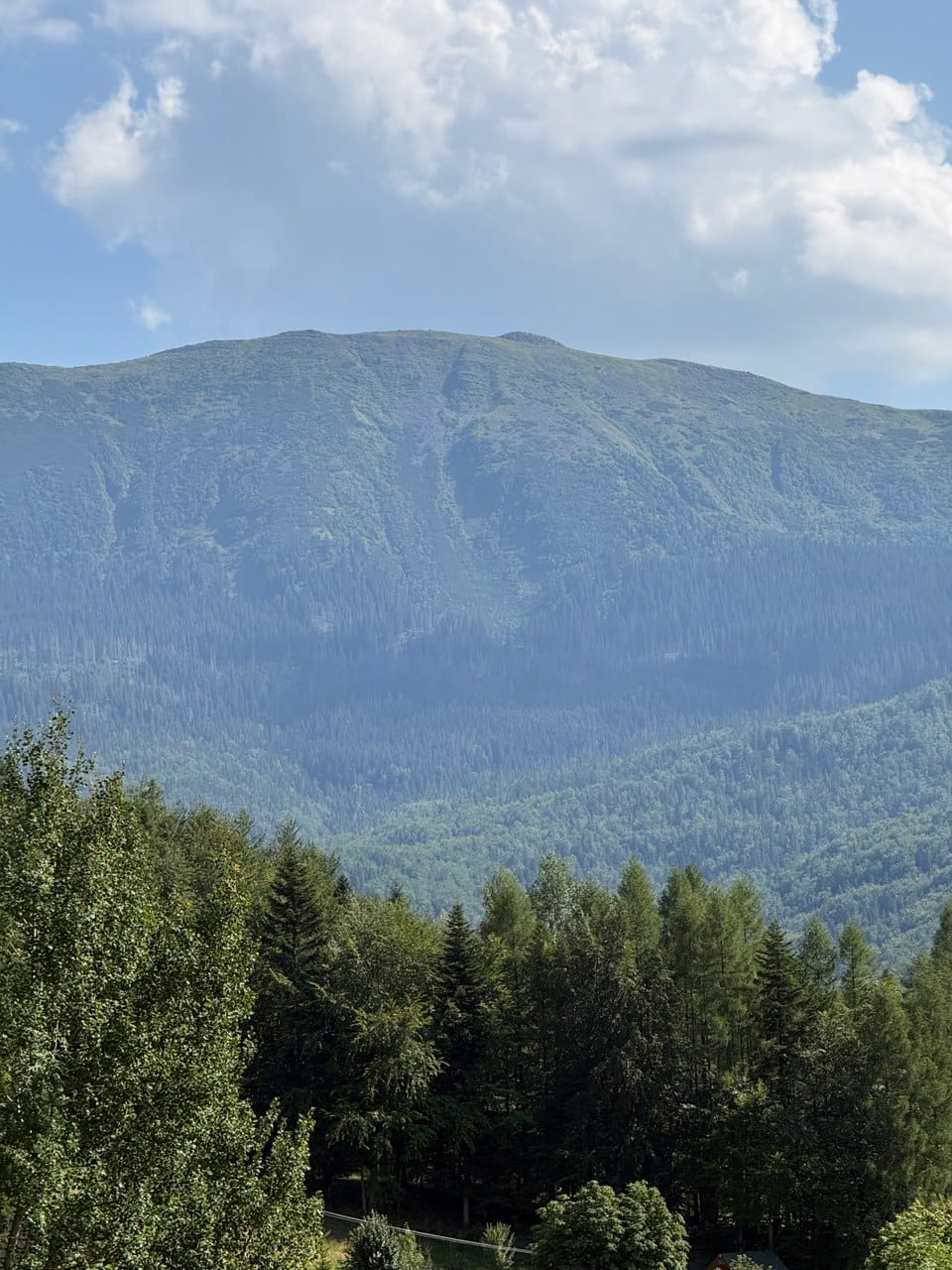 Masyw Babiej Góry nad lasami Zawoi