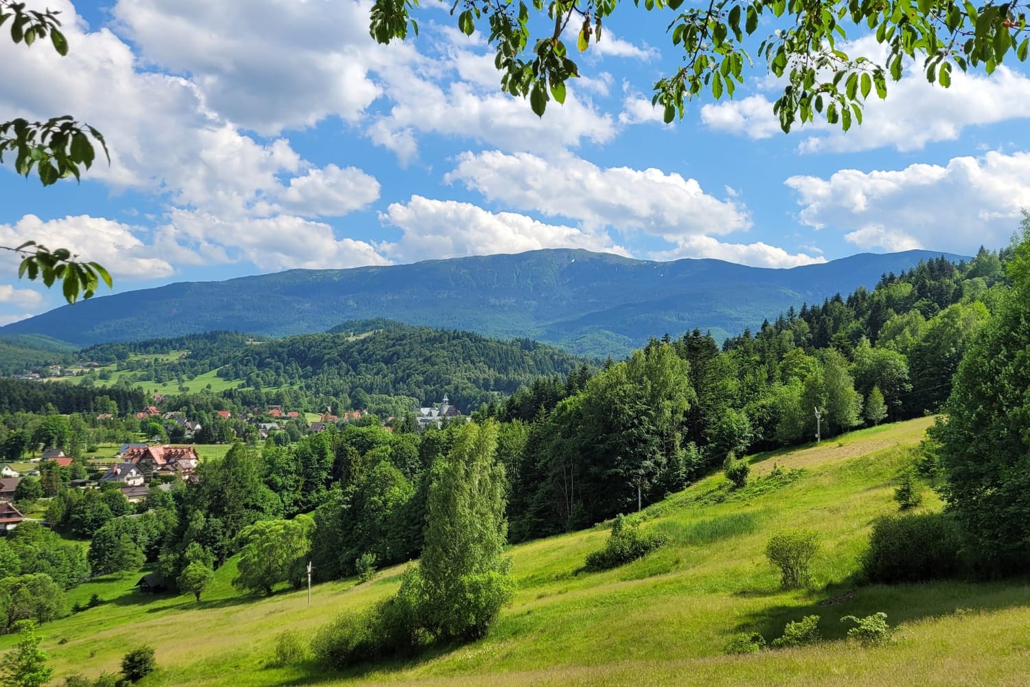 Babia Góra nad zabudową Zawoi — widok z łąk latem