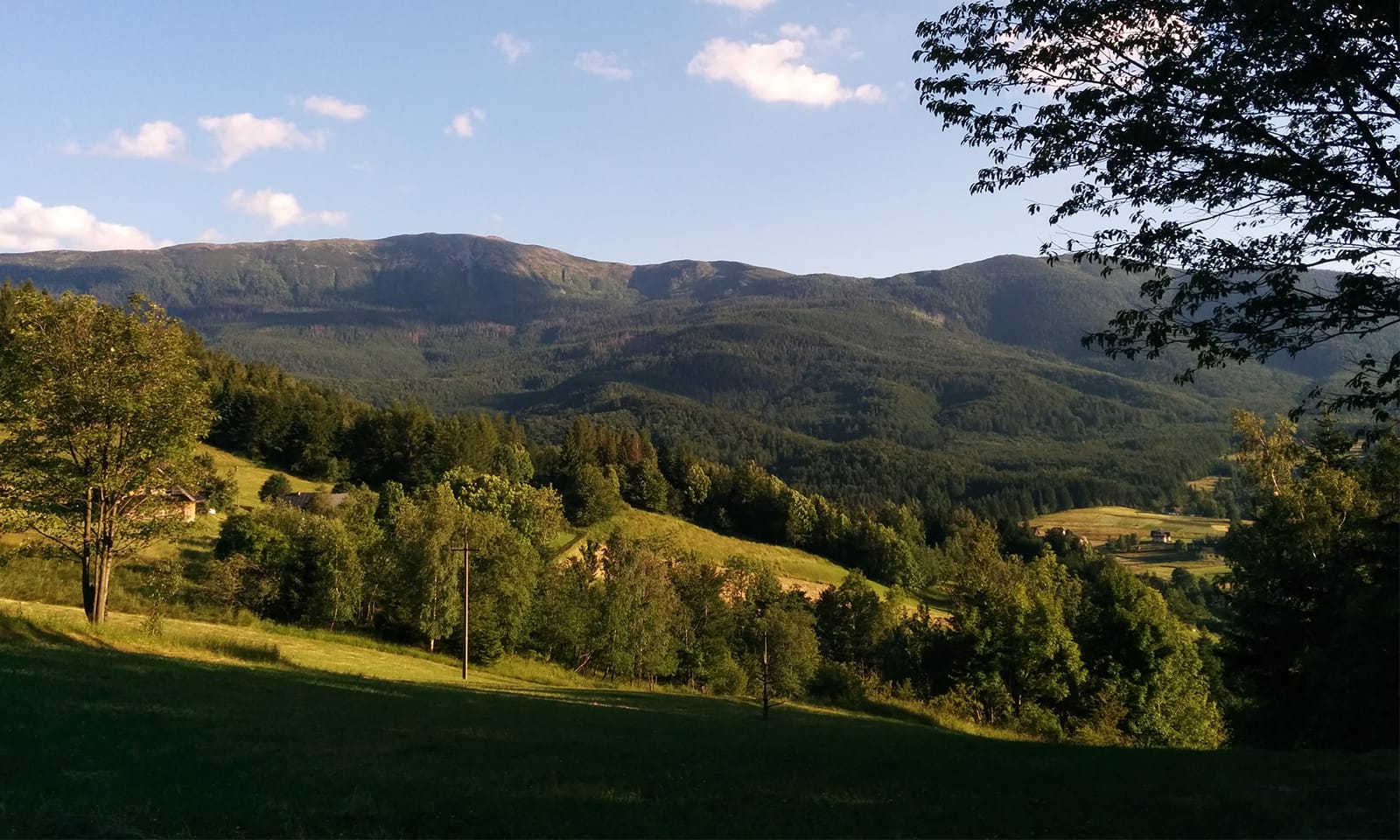Grzbiet Babiej Góry widziany z polany nad Zawoją w popołudniowym słońcu
