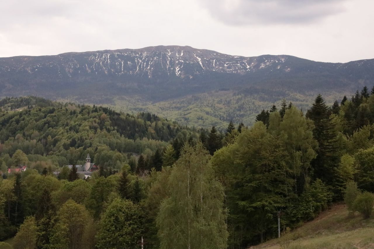 Masyw Babiej Góry nad lasami i zabudową Zawoi wiosną