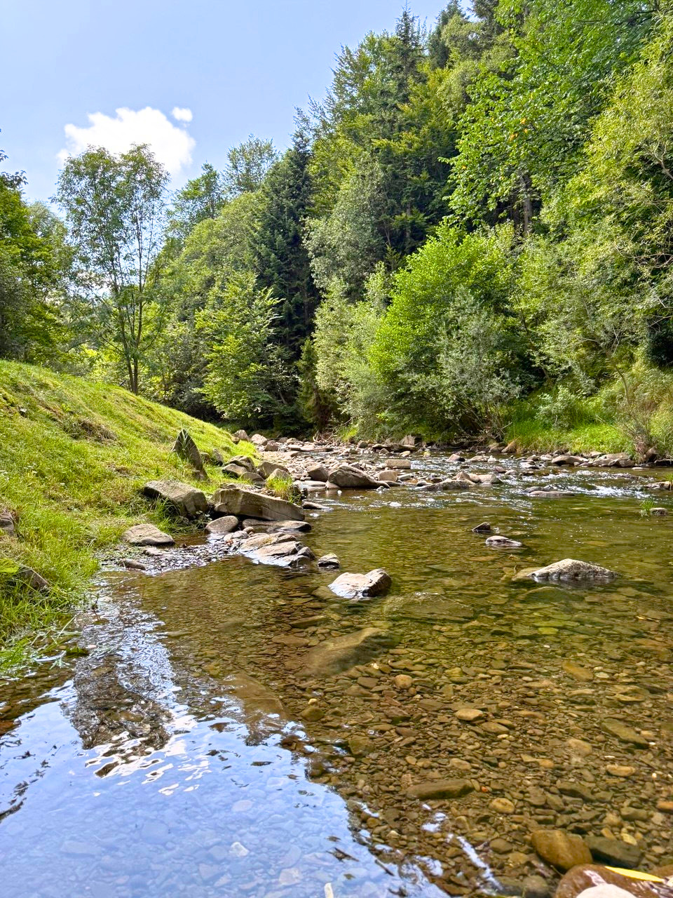 Górski potok z bezpośrednim dostępem z terenu hotelu.