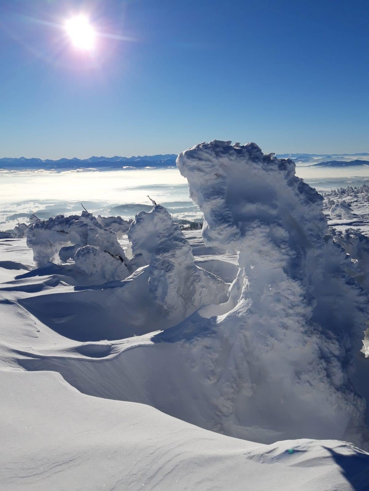 Oszronione drzewa na szczycie Babiej Góry, w dole morze chmur, na horyzoncie Tatry
