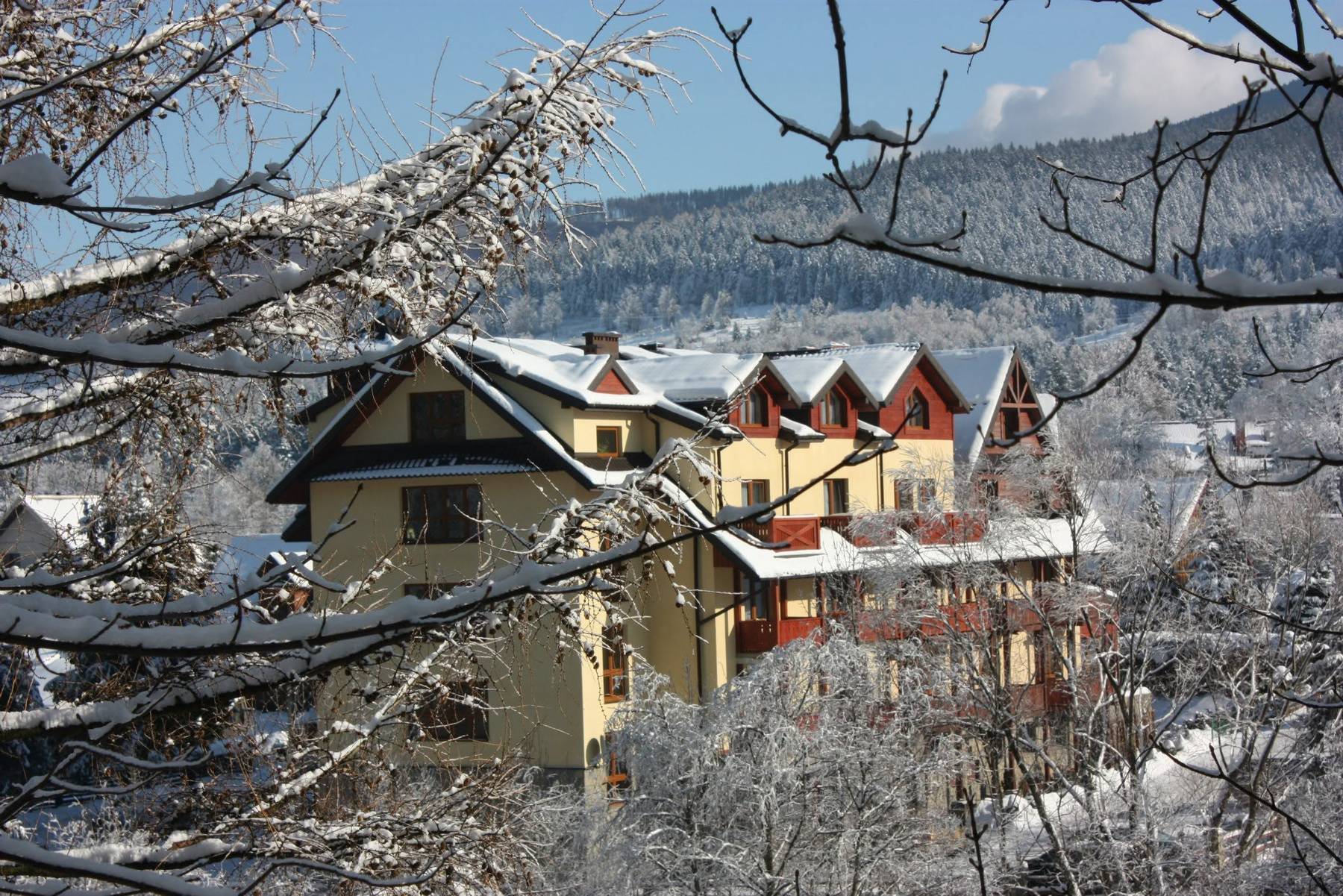 Hotel Jawor po opadach śniegu, kadr zza oszronionych gałęzi